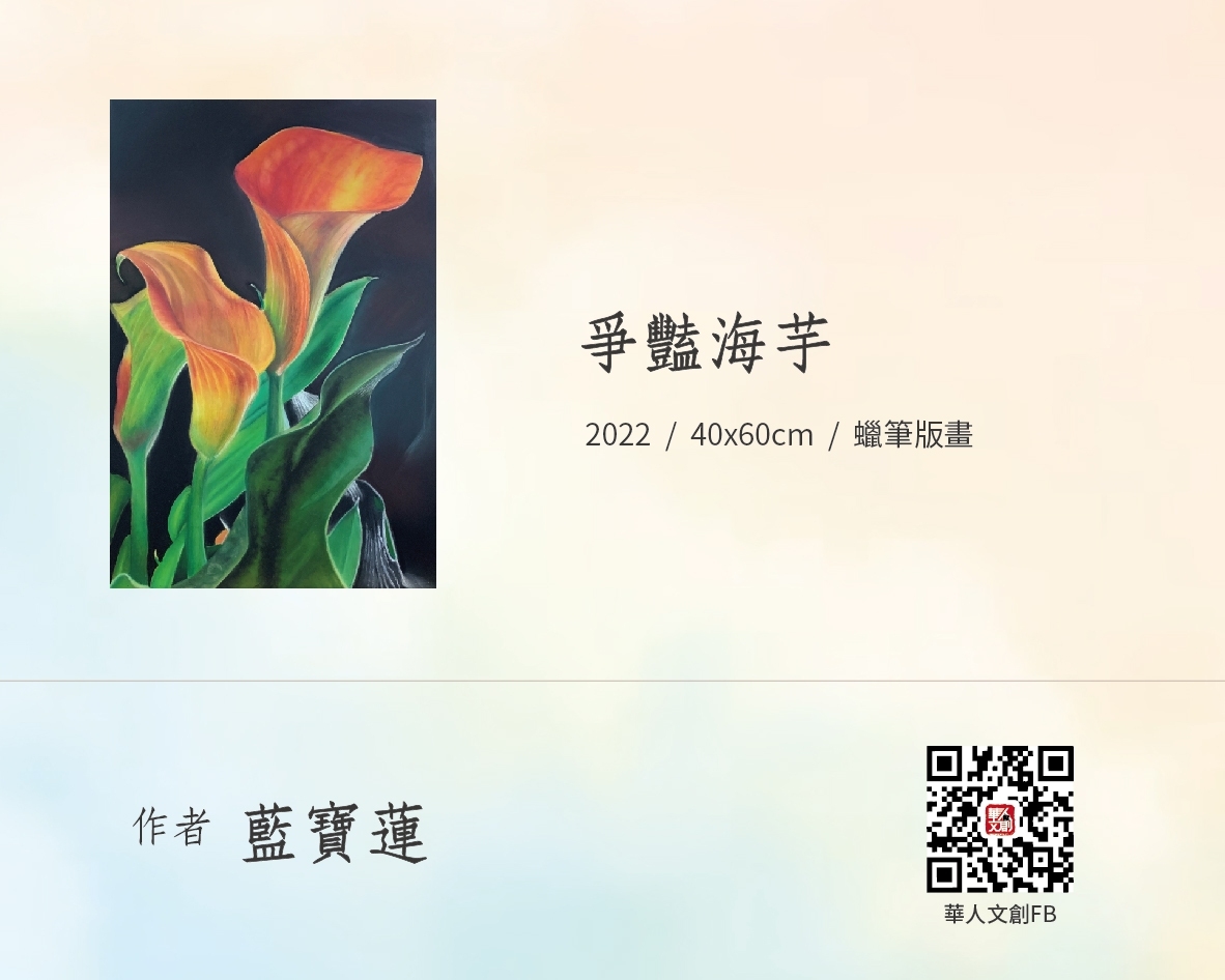 爭豔海芋