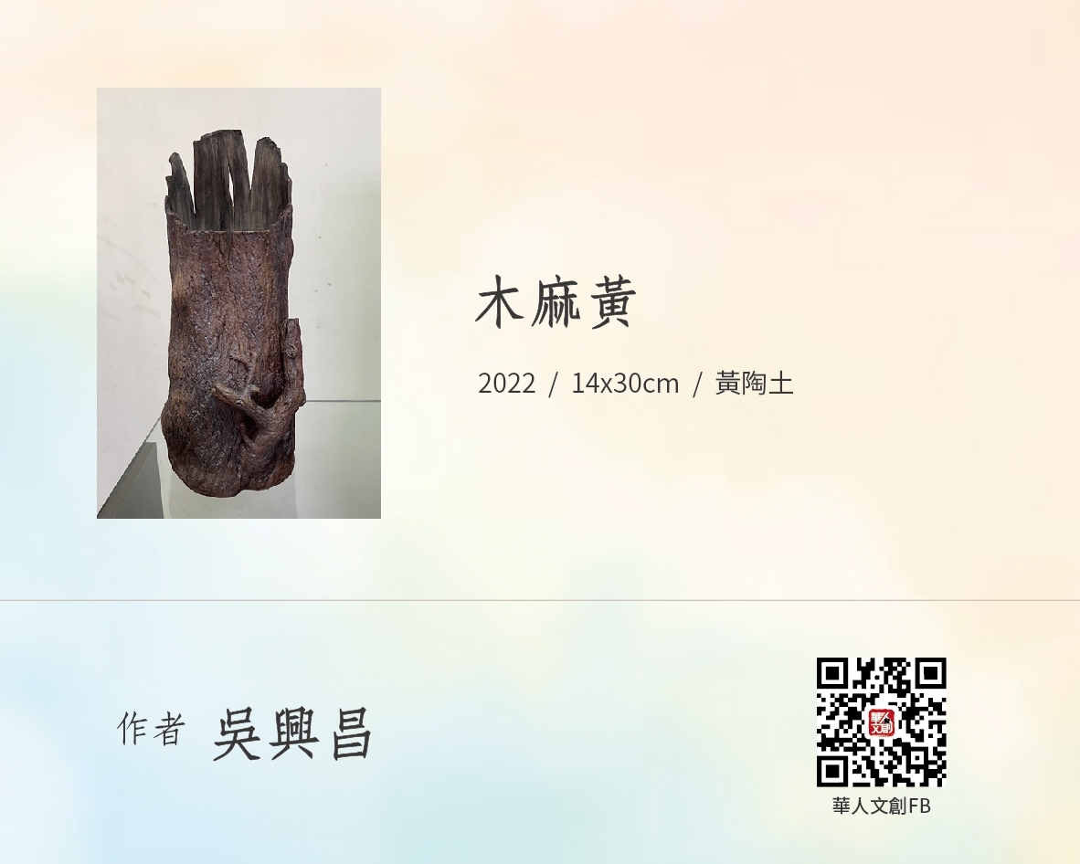 木麻黃