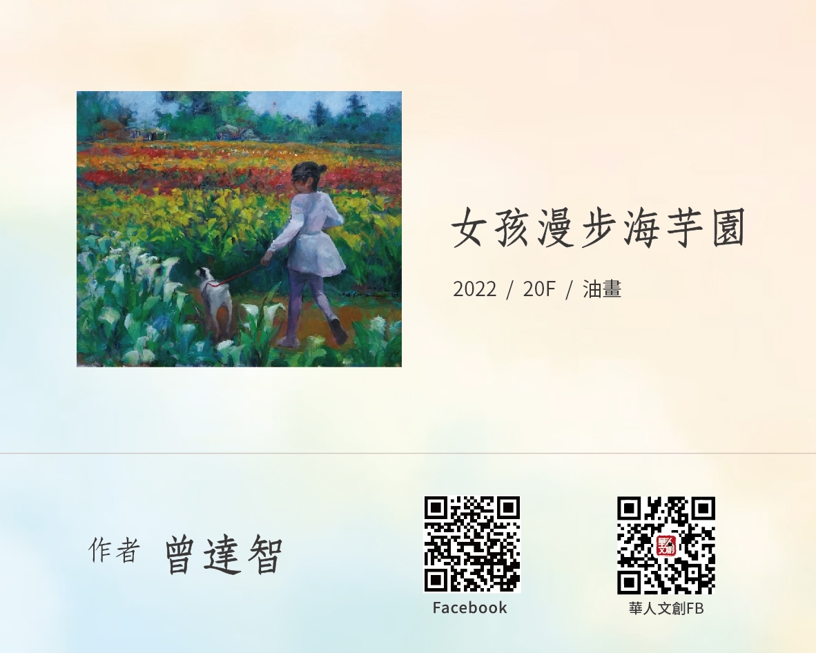 女孩漫步海芋園