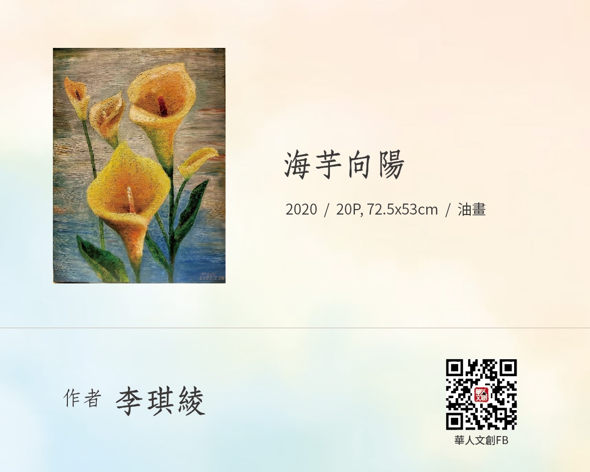 海芋向陽